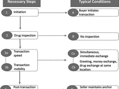 Environmental Predictors of a Drug Offender Crime Script: A Systematic Social Observation of Google Street View Images and CCTV&nbsp;Footage