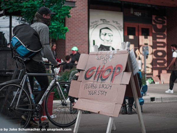 The Effect of the Seattle Police-Free CHOP Zone on Crime: A Microsynthetic Control&nbsp;Evaluation